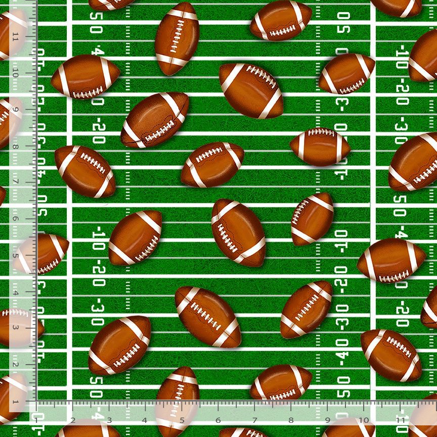 Fitness Fanatic Football Balls on Ground Green Gail Cadden Timeless Treasures Cotton Fabric TT-GAIL-CD3718-GREEN