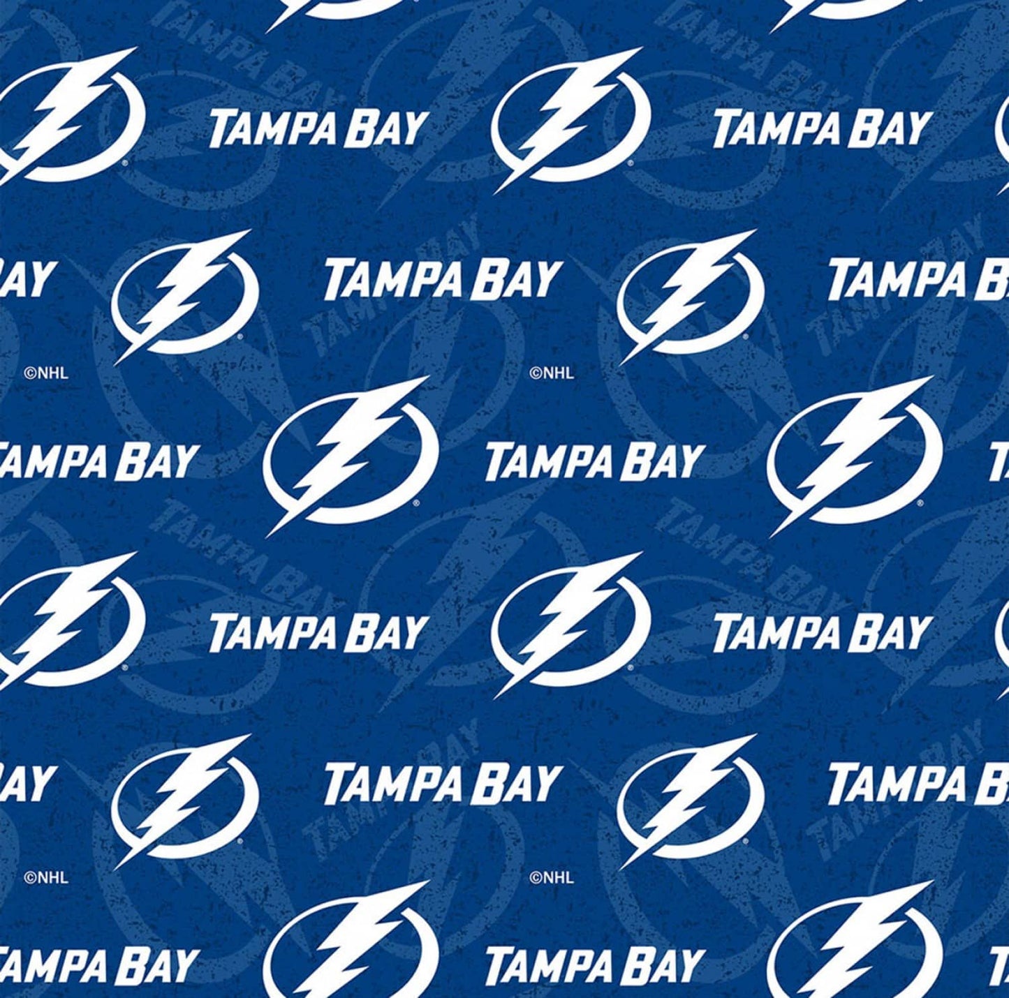 Tampa Bay Lightning NHL Hockey Tone on Tone design Cotton Fabric NHL-1199-LGT